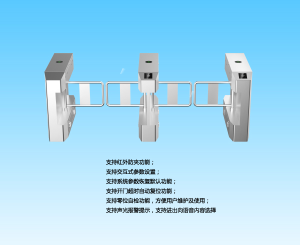 國(guó)內(nèi)大華橋式斜角擺閘DH-ASG4200C